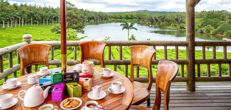 Mauritius Tea